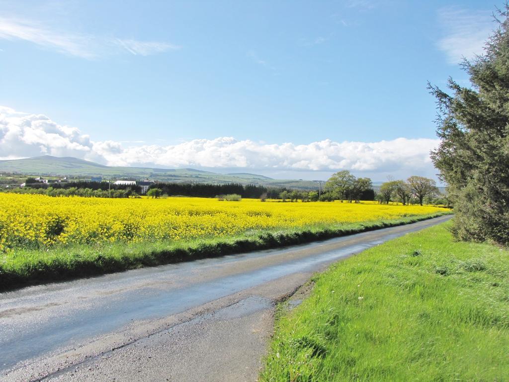 Moneylands Farm B&B Arklow Room photo